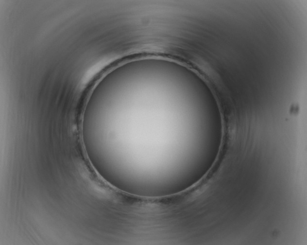 X0000114181070200910151655