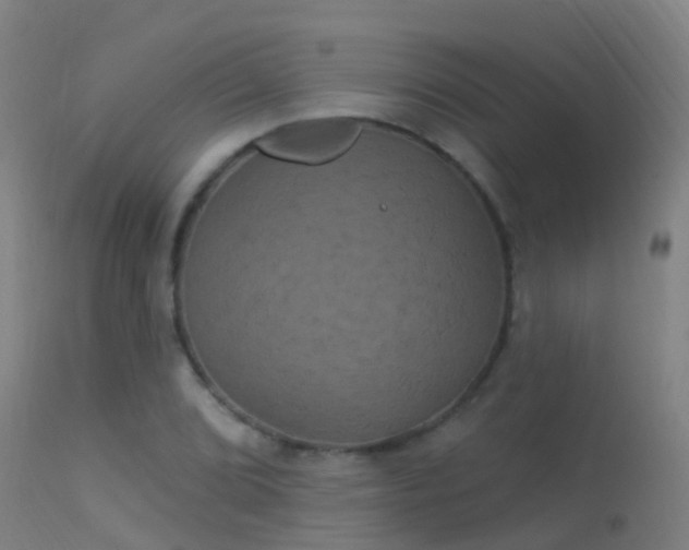 X0000114181072200910151655