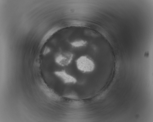 X0000114181074200910151655