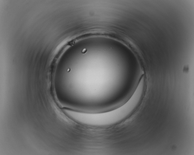 X0000114181075200910151654