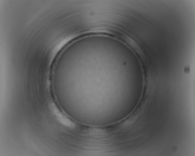 X0000114181076200910151654