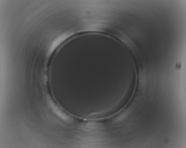 X0000114181077200910151654