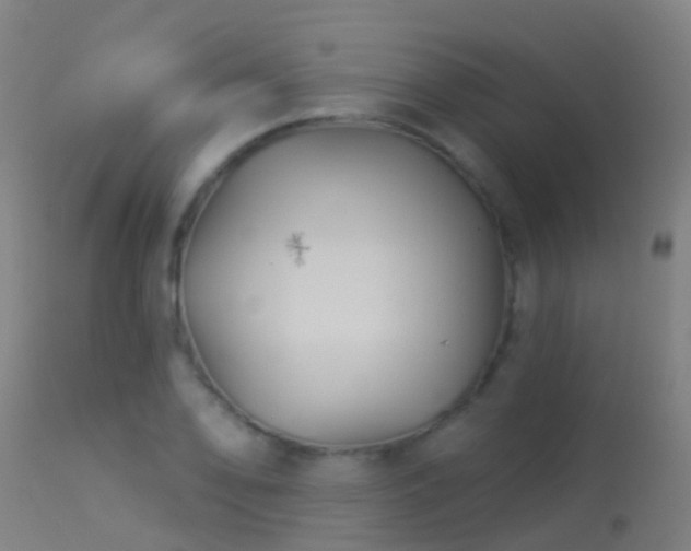 X0000114181078200910151654