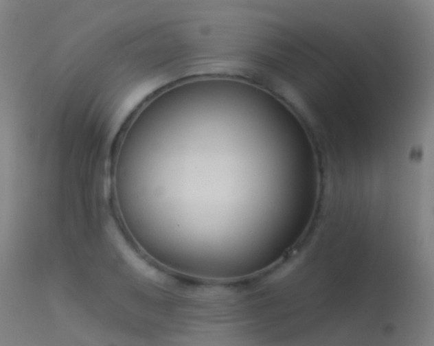 X0000114181079200910151654