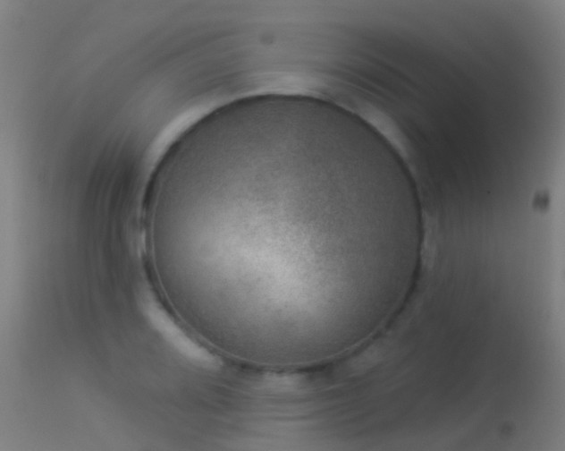 X0000114181080200910151654