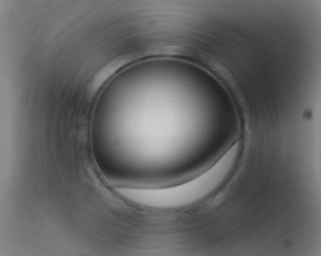 X0000114181081200910151654