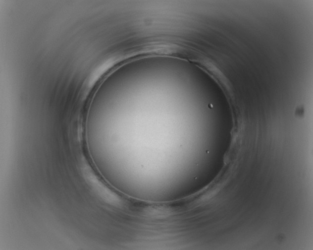 X0000114181083200910151654
