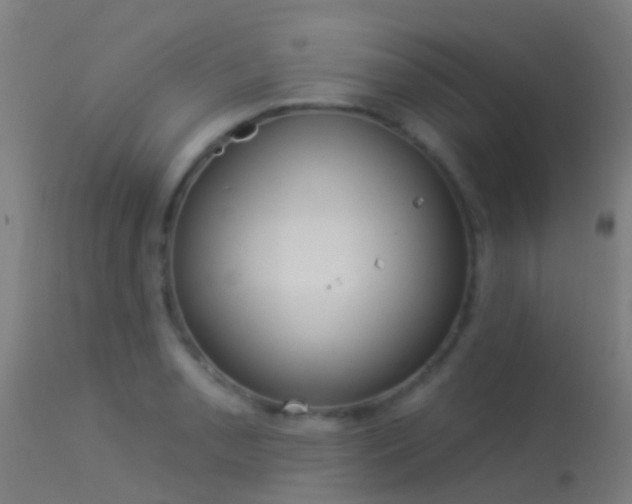 X0000114181085200910151654