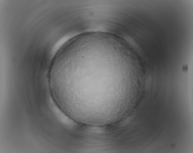 X0000114181086200910151654