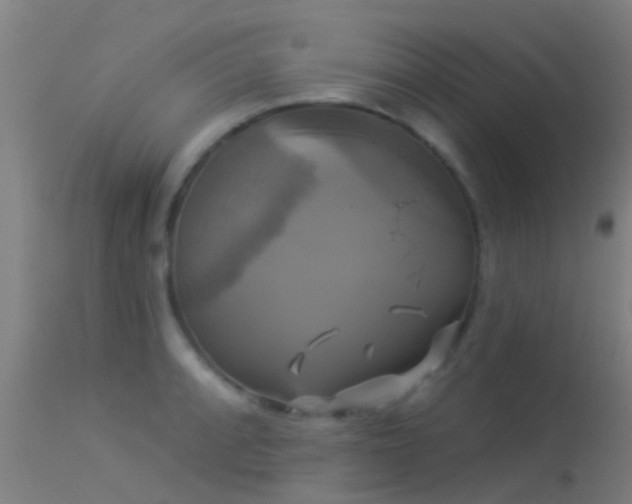 X0000114181088200910151654