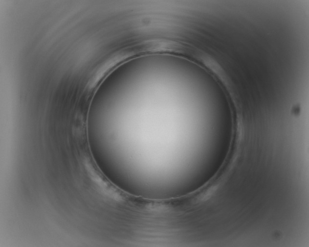 X0000114181089200910151654