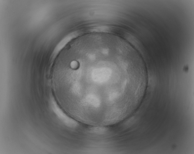 X0000114181090200910151654