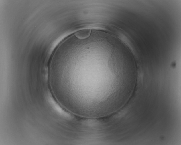 X0000114181092200910151654
