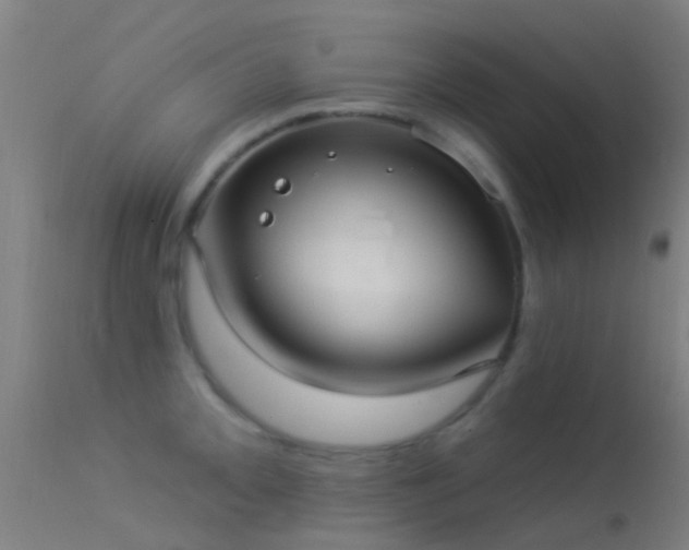 X0000114181093200910151654