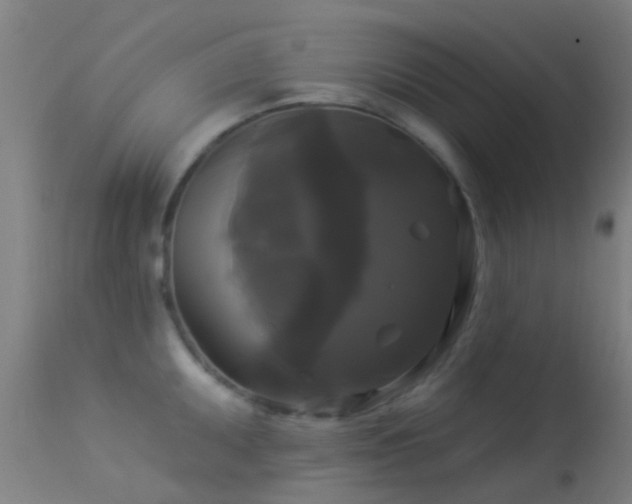 X0000114181095200910151654