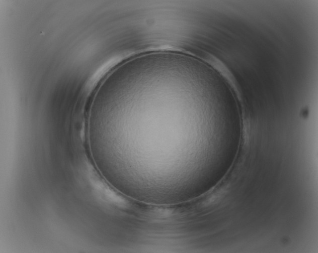 X0000114181096200910151654