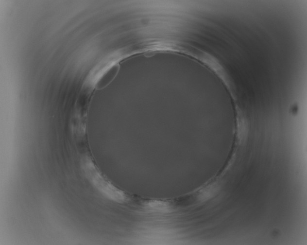 X0000114181097200910151654