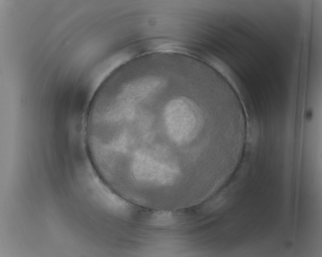 X0000114181098200910151654