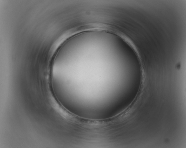 X0000114181099200910151654