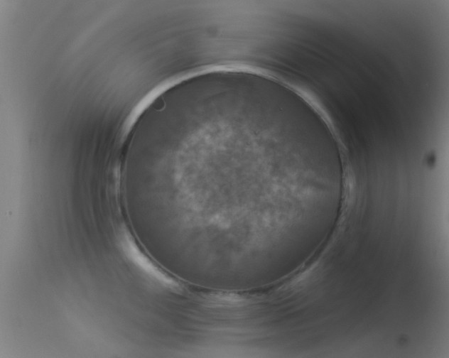 X0000114181100200910151654