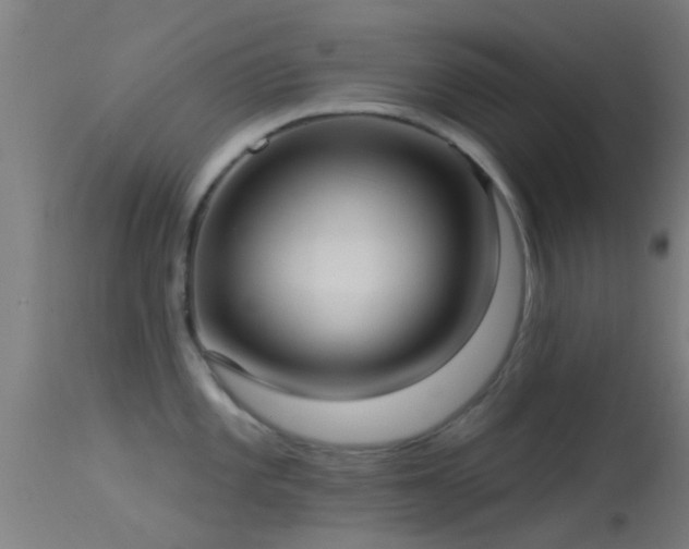X0000114181101200910151654