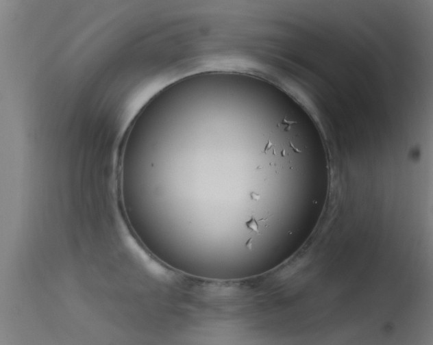X0000114181103200910151654