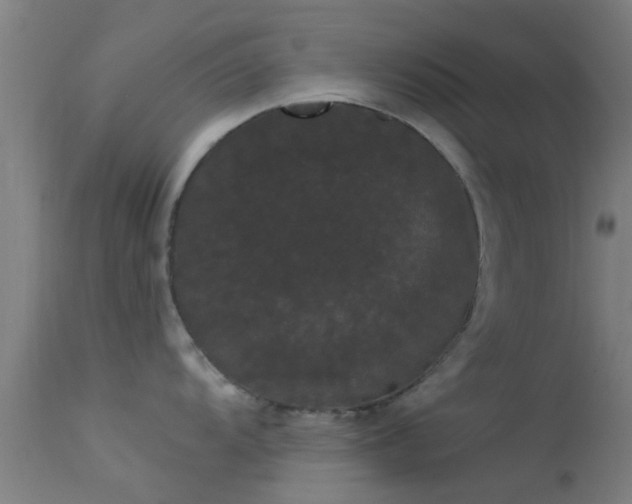 X0000114181104200910151654