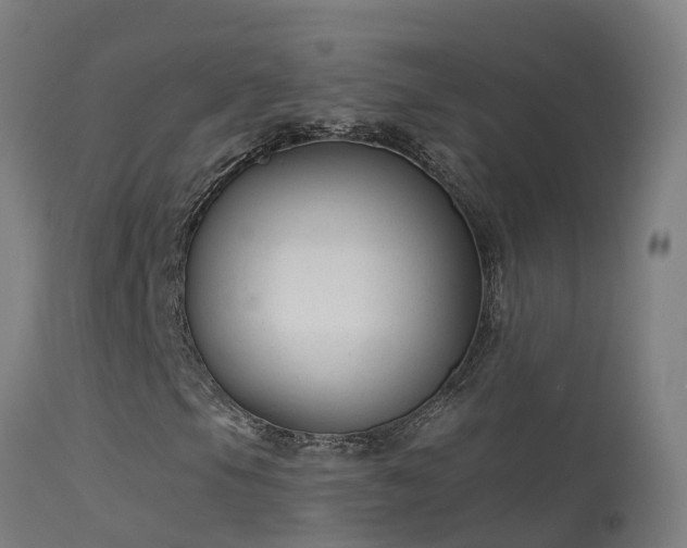 X0000114181105200910151653
