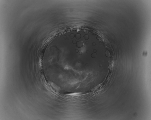 X0000114181106200910151653