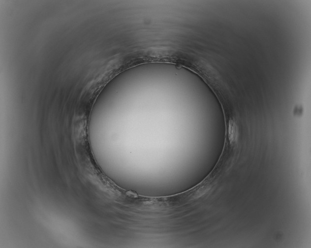 X0000114181107200910151653
