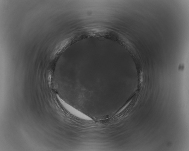 X0000114181108200910151653