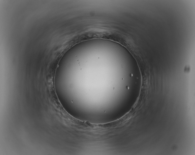 X0000114181109200910151653