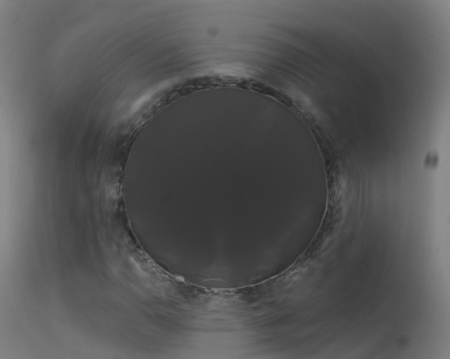 X0000114181110200910151654