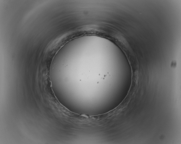 X0000114181111200910151654