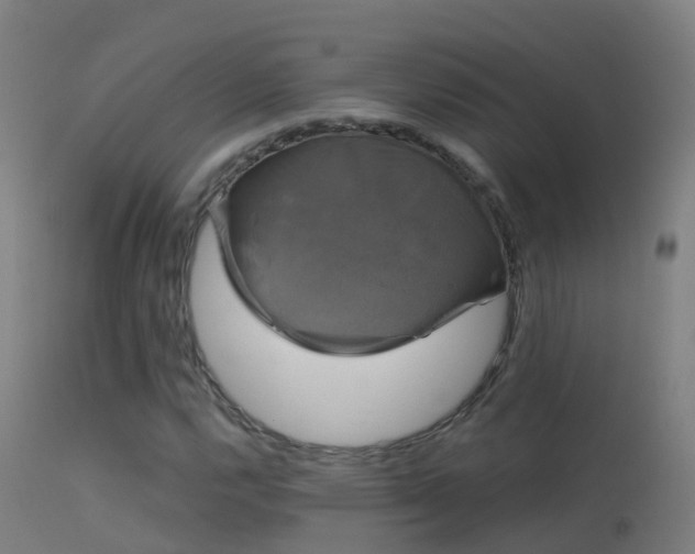 X0000114181112200910151654
