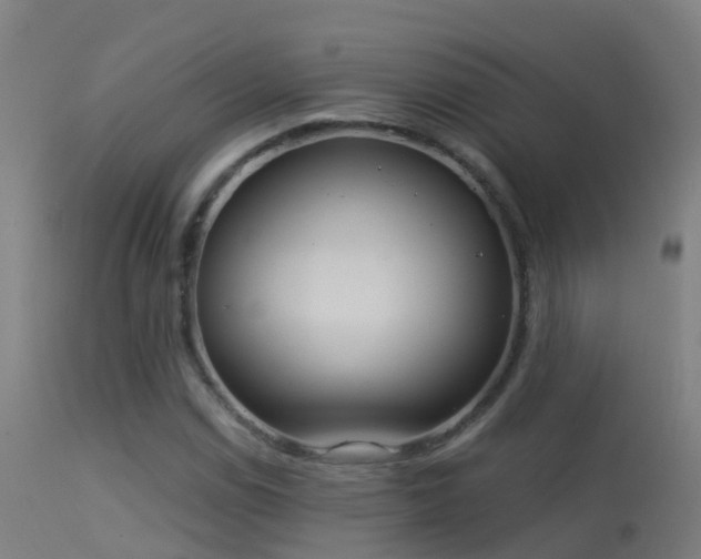 X0000114181114200910151654