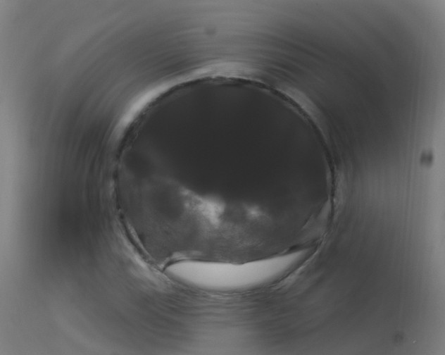 X0000114181115200910151654