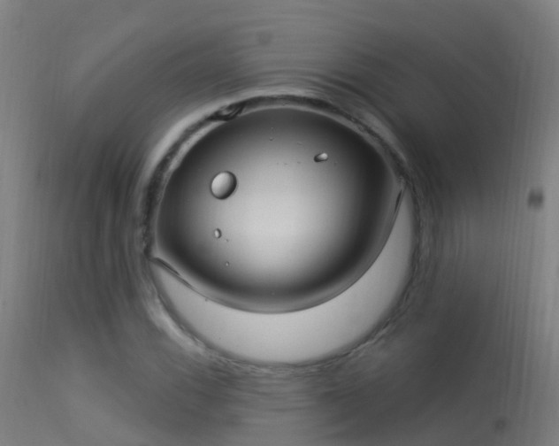 X0000114181116200910151654