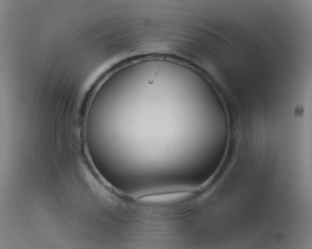 X0000114181118200910151654