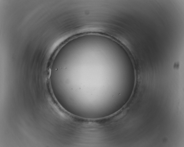 X0000114181119200910151654