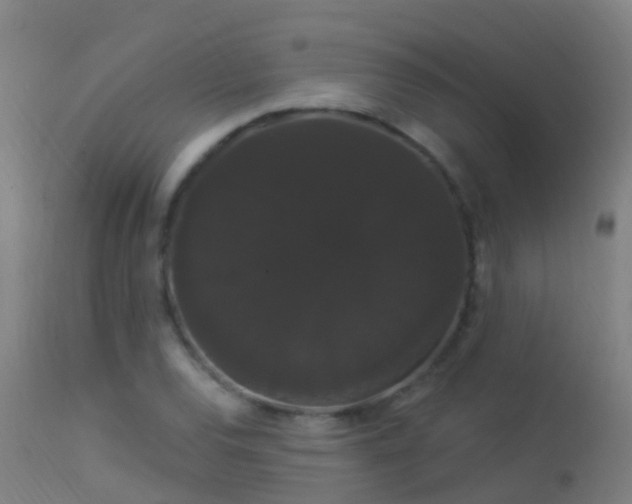 X0000114181120200910151654