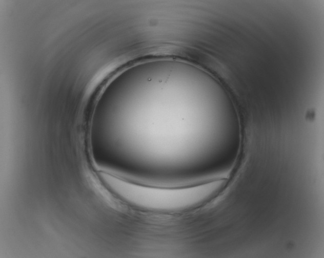 X0000114181122200910151654
