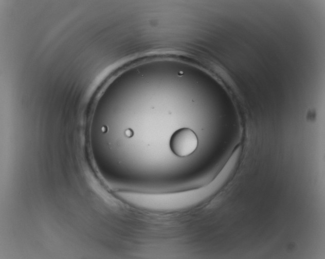 X0000114181124200910151654