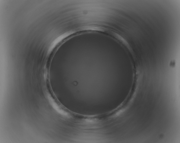 X0000114181125200910151654