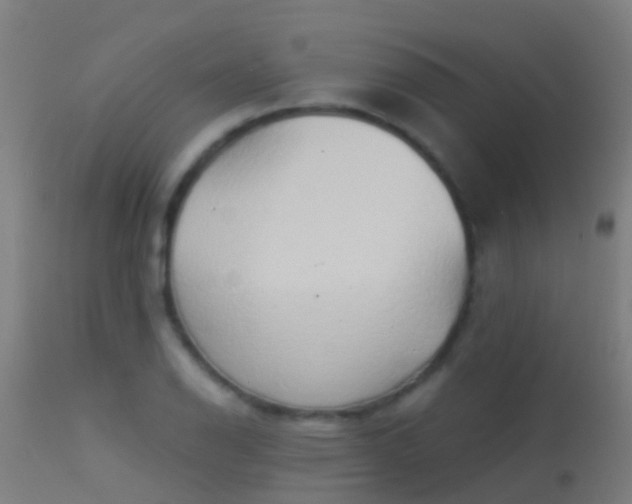 X0000114181126200910151654