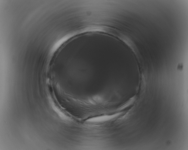 X0000114181127200910151654