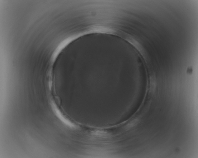 X0000114181128200910151654