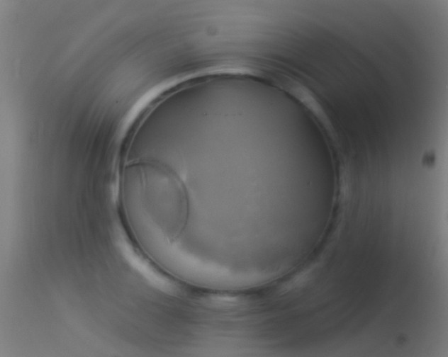 X0000114181132200910151654