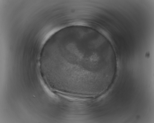 X0000114181133200910151654