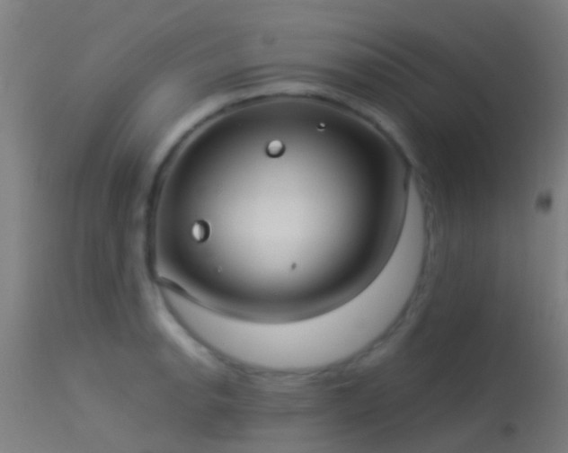 X0000114181134200910151654